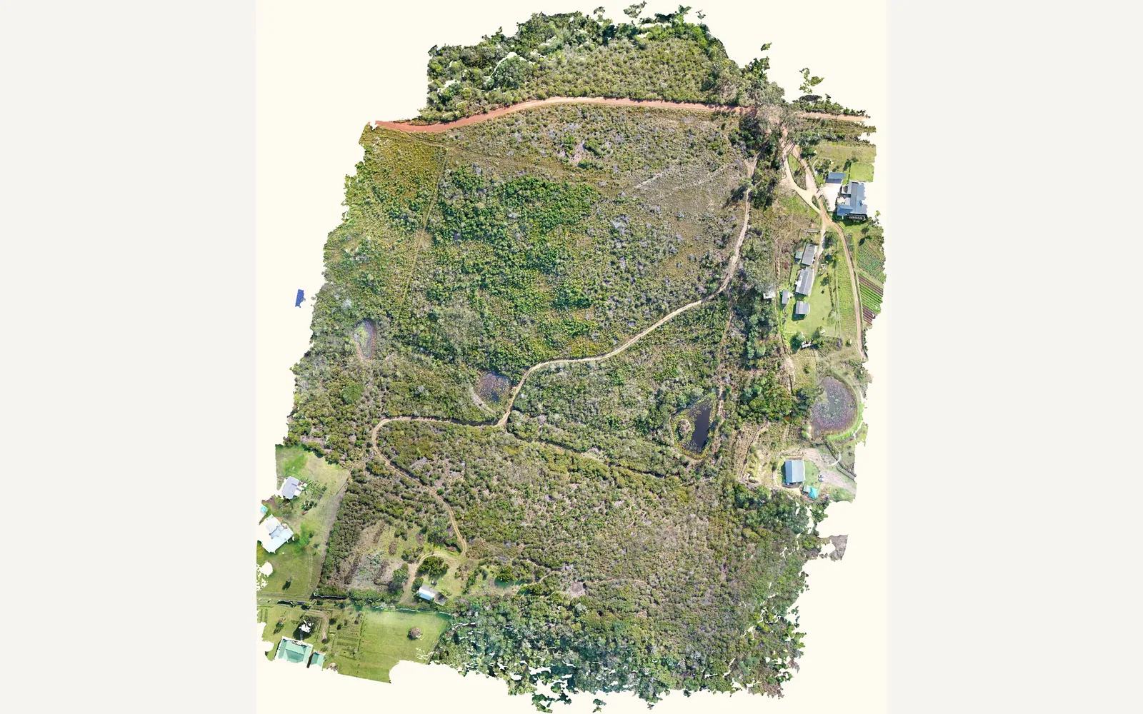 The complete orthomosaic of the property: pasture, cleared bush, fynbos, a dam, farm tracks and the farmstead buildings, all in one continuous top-down image.